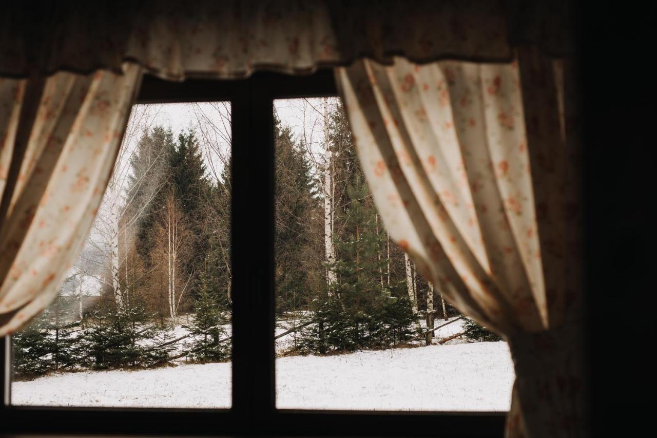 Hanna'S Hidden Haven Harghita-Băi Dış mekan fotoğraf