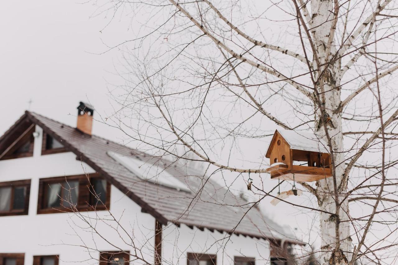 Hanna'S Hidden Haven Harghita-Băi Dış mekan fotoğraf